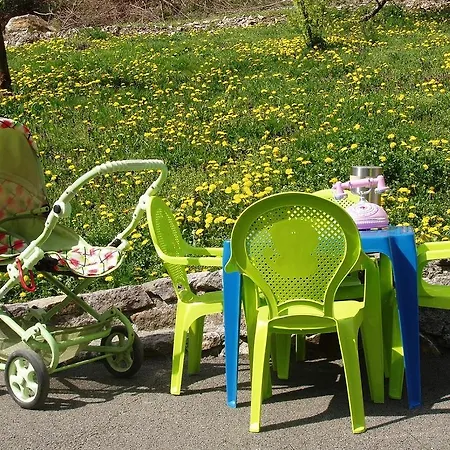 Apartmanovy Dom Bellevue * ווינה